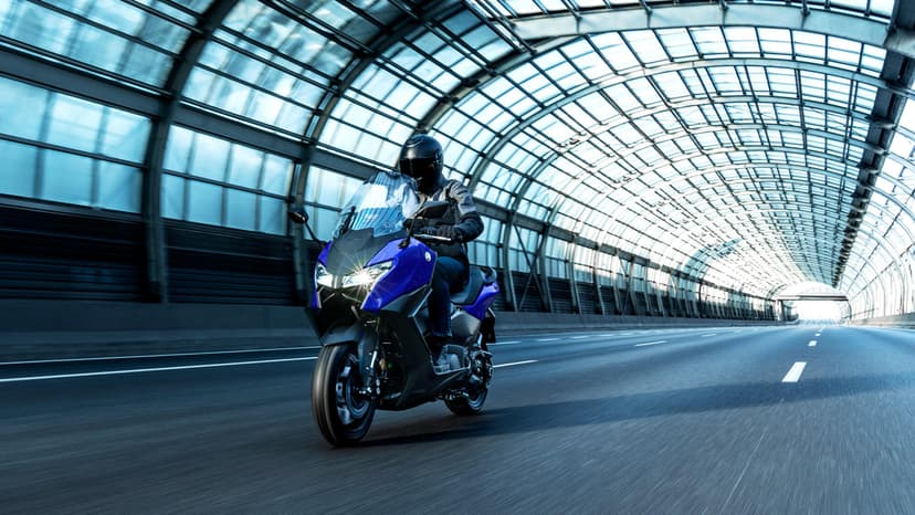 Partie cycle et comportement routier de référence